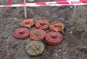  120 mines antipersonnel ont été désamorcées dans la région de Goubadly -  PHOTO  