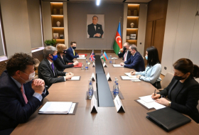  Le Royaume-Uni est prêt à contribuer aux activités de déminage dans les territoires libérés de l'Azerbaïdjan 
