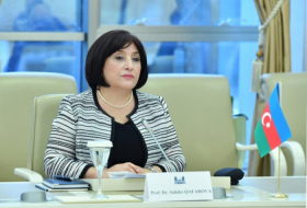  La présidente du parlement azerbaïdjanais a rencontré une délégation du parlement iranien 