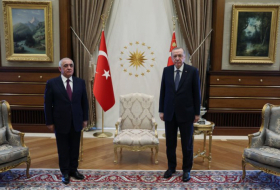 Erdogan a reçu le Premier ministre azerbaïdjanais Ali Assadov 