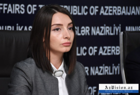   MAE: «Les événements de Soumgaït étaient une provocation planifiée contre l'Azerbaïdjan» 