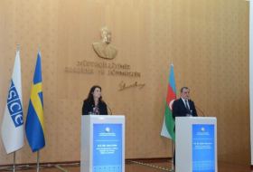  Les déclarations du Karabagh garantissent l'instauration de la paix dans la région, MAE d'Azerbaïdijan 
