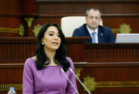 Le Parlement azerbaïdjanais adopte le rapport annuel de la médiatrice aux droits de l'homme - Mise à Jour