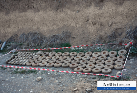  87 mines découvertes du 10 au 16 mai dans les territoires libérés 
