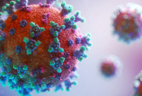   Coronavirus:   les anticorps persistent «jusqu'à 13 mois après l'infection»