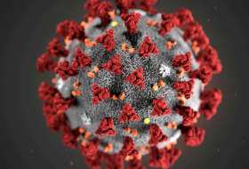 Coronavirus: la recherche sur les origines devrait se porter vers les Etats-Unis, affirme un expert chinois