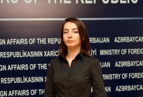  Le MAE d'Azerbaïdjan lance un appel aux organisations internationales de défense des droits de l'homme 