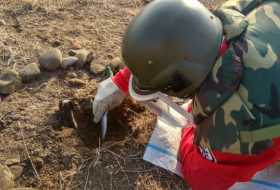   L'Azerbaïdjan détecte 196 mines supplémentaires dans les territoires libérés  