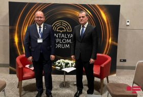   Le chef de la diplomatie azerbaïdjanaise s'entretient avec son homologue roumain  