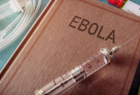 L'OMS annonce officiellement la fin de la deuxième épidémie d'Ebola en Guinée