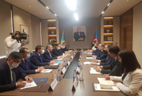   Les ministres azerbaïdjanais et kazakh des Affaires étrangers se rencontrent à Bakou  