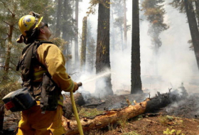 La fumée des feux de forêt influe sur la pandémie de Covid-19, affirme une étude US