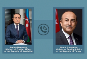  Les ministres des Affaires étrangères azerbaïdjanais et turc discutent de la situation actuelle en Afghanistan 
