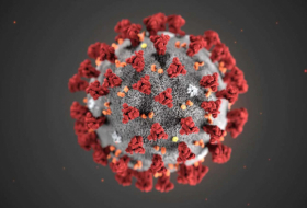 Coronavirus: la mutation AY.4.2 du variant delta mis sous surveillance