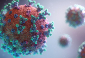 L'Onu révèle la cause principale de la propagation de nouveaux variants du coronavirus