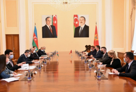 Le Premier ministre azerbaïdjanais a rencontré le président du Parlement monténégrin