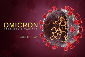 Selon l'EMA, le variant Omicron va faire sortir le Covid-19 de la phase pandémique