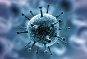 Coronavirus dans le monde: le point sur la pandémie 