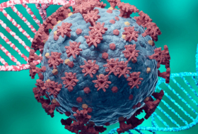 Coronavirus : le vaccin chinois Convidecia reçoit l'homologation d'urgence de l'OMS