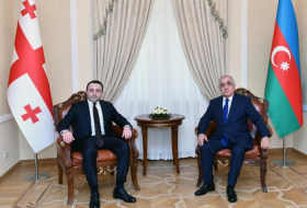   Entretien téléphonique entre les Premiers ministres azerbaïdjanais et géorgien  