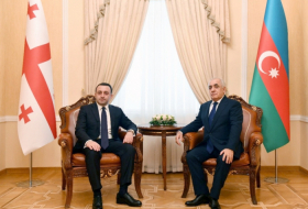   Le Premier ministre azerbaïdjanais présente ses condoléances à son homologue géorgien  
