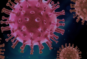  Santé/variole du singe : l'OMS lance un appel pour l'action «urgente» en Europe face à l'envolée des cas 