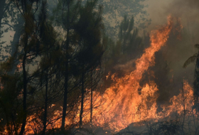 Des feux de forêt toujours en cours dans plusieurs départements français