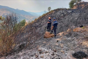 Le bilan des victimes des feux de forêt en Algérie s'alourdit à 31 morts