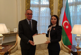   L'ambassadrice d'Azerbaïdjan présente les copies de ses lettres de créance au ministère français des Affaires étrangères -   PHOTO    