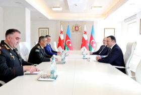  Le ministre azerbaïdjanais de la Défense a rencontré le Premier ministre géorgien 