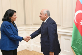  Ali Assadov a rencontré la présidente géorgienne 