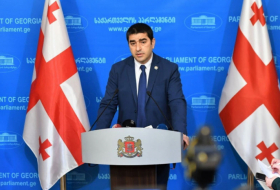   La Géorgie veut contribuer aux relations arméno-azerbaïdjanaises grâce aux efforts interparlementaires  