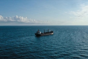 Sécheresse : Des navires chargés de céréales ukrainiennes envoyés aux pays africains