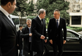  Les ministres des Affaires étrangères d'Azerbaïdjan et de Hongrie se sont rencontrés à Bakou 