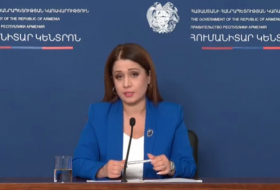   La porte-parole de Pashinyan s'excuse d'avoir utilisé le mot « Artsakh » -   VIDEO    