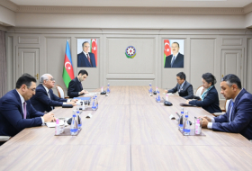 Le Premier ministre azerbaïdjanais s'entretient avec la secrétaire exécutive de la CESAP