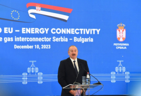  Le président Aliyev donne un aperçu des projets futurs de son pays dans le secteur énergétique 