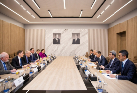 Le ministre azerbaïdjanais du Numérique et des Transports rencontre les représentants des entreprises allemandes