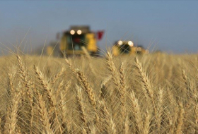 Le ministre russe de l'Agriculture annonce la livraison de 200 000 tonnes de céréales à 6 pays africains