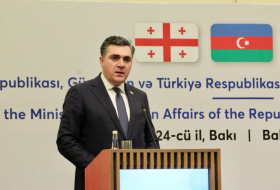   La Géorgie s'engage à assurer la paix dans la région, selon Ilia Dartchiachvili  