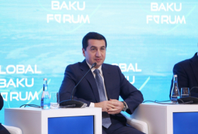   L'Azerbaïdjan fait de son mieux pour établir la paix dans le Caucase du Sud, selon Hikmet Hadjiyev  