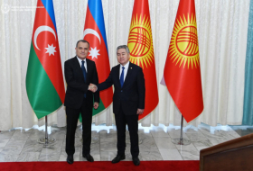   Le ministre des Affaires étrangères azerbaïdjanais s'entretient avec son homologue kirghiz  
