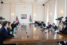   Les présidents azerbaïdjanais et bulgare tiennent une réunion élargie aux délégations  