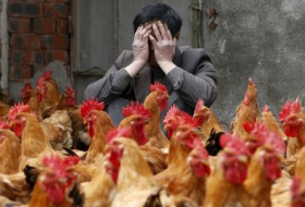 Nouvelle mort de la grippe aviaire en Chine