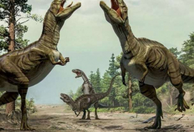 Découverte de traces de dinosaure dans le nord-est de la Chine
