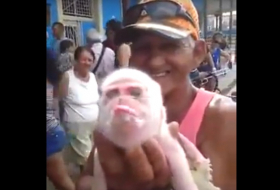 Un cochon naît avec une tête de singe VIDEO