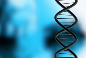Des chercheurs découvrent des gènes qui ressuscitent après la mort