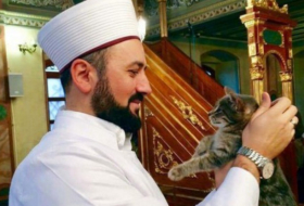 Turquie: Un imam ouvre sa mosquée aux chats errants VIDEO 