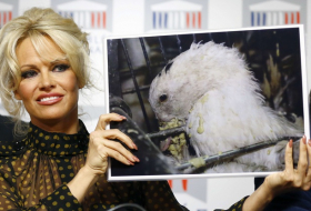 Pamela Anderson déclenche «des propos particulièrement sexistes» à l’Assemblée