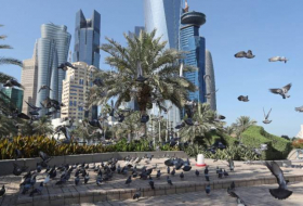 Le Qatar affirme disposer de suffisamment de vivres pour un an